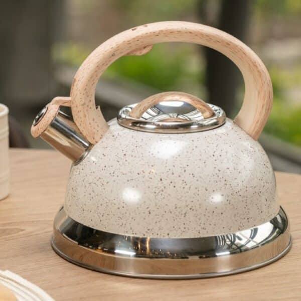 TETERA C/SILBIDO ROMA VAN 2.7L BRINOX - Imagen 2